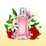Decant Fragrance